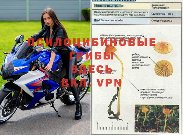 кокс Аркадак
