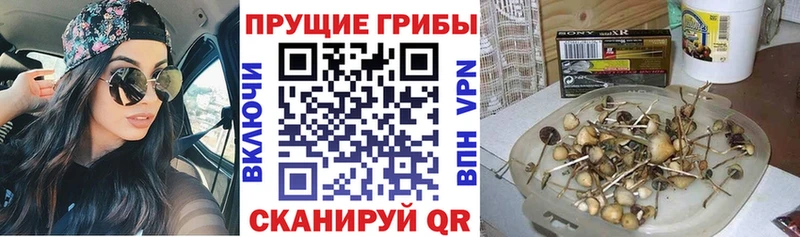 Псилоцибиновые грибы Magic Shrooms Курган