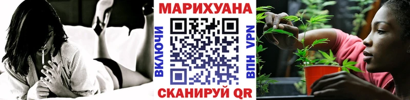 kraken как зайти Курган Канабис OG Kush